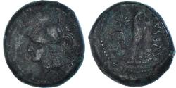 Ancient Coins - Coin, Campania, Æ, ca. 265-240 BC, Suessa Aurunca, , Bronze, HGC:1-510