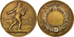 World Coins - France, Medal, French Third Republic, Business & industry, , Bronze