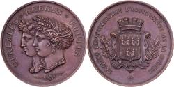 World Coins - France, Medal, Société Départementale d'Agriculture de la Nièvre, Bronze