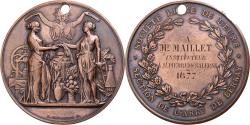 World Coins - France, Medal, Société Libre de l'Eure, Bernay, 1877, Copper, Farochon