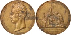World Coins - France, Medal, Charles X coronation, Louis Philippe I, History, 1825, Gayrard