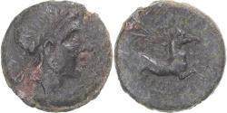 Ancient Coins - Coin, Apulia, Æ, ca. 225-210 BC, Salapia, , Bronze, HN Italy:692b