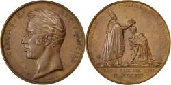 World Coins - France, Medal, Charles X, Politics, Society, War, 1825, Gayrard,