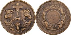 World Coins - France, Medal, Agriculture, Concours général de Nevers, Nièvre, 1902, Bronze