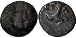 Ancient Coins - Coin, Pisidia, Selge, Bronze Æ, 2nd-1st century BC, , Bronze