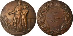 World Coins - France, Medal, Préparation Physique, Marianne, Sports & leisure, Demey