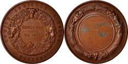 World Coins - France, Medal, Comice Agricole d'Evron, Business & industry, 1889,