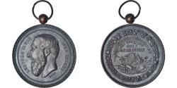 World Coins - Belgium, Medal, Léopold II, Exposition d'Agriculture, Stad Thielt, 1892, Hart