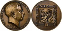 World Coins - France, Medal, Hommage au Dr. Charles Buizard, 1932, Bronze, Turin,
