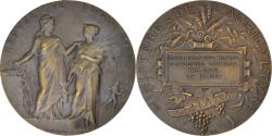 World Coins - France, Medal, Direction des Haras, Concours Central Hippique de Paris, Alphée