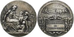World Coins - France, Medal, Comice Agricole de Château-Chinon (Nièvre), n.d., Silvered