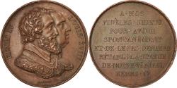 World Coins - France, Medal, Louis XVIII, Rétablissement de la statue d'Henri IV, History