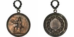 World Coins - France, Medal, Société d'Encouragement à l'Instruction, Seine et Oise, 1893