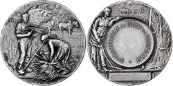 World Coins - France, Medal, Société d'agriculture de l'arrondissement de Remiremont