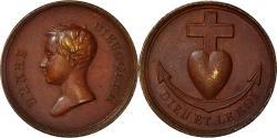 World Coins - France, Medal, Henri Dieudonné V d'Artois, Propagande Royaliste, History