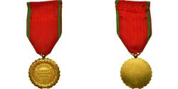 World Coins - France, Mérite National Français, Medal, Uncirculated, Gilt Bronze, 34