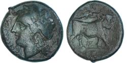 Ancient Coins - Coin, Campania, Æ, ca. 275-250 BC, Neapolis, , Bronze, SNG-Cop:513