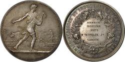 World Coins - France, Medal, Comice Agricole du Canton de Carvin, 1873, Lagrange,