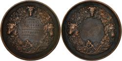 World Coins - France, Medal, Comice Agricole d'Yvetot, Seine Inférieure, , Copper