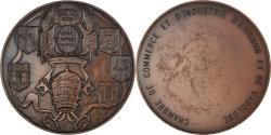 World Coins - France, Medal, Chambre de Commerce d'Avignon et de Vaucluse, 1977,