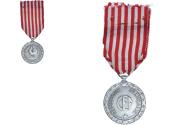 World Coins - France, Corps Expeditionnaire Français d'Italie, WAR, Medal, 1943-1944