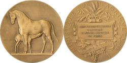World Coins - France, Medal, Direction des Haras, Concours Central Hippique de Paris, Bronze