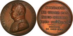 World Coins - France, Medal, Louis XVIII, Paroles du Duc de Berry à Béthune, History, 1815