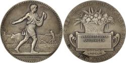 World Coins - France, Medal, French Third Republic, Business & industry, Lagrange,