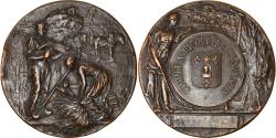 World Coins - France, Medal, Comice Agricole de Saint Quentin, Aisne, Rivet, , Bronze
