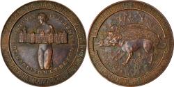 World Coins - France, Medal, A la Gloire de Barbizon et de Fontainebleau, , Bronze