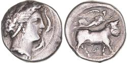 Ancient Coins - Coin, Campania, Neapolis, Didrachm, ca. 320-300 BC, Neapolis, , Silver