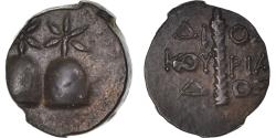 Ancient Coins - Coin, Kolchis, Æ, 105-90 BC, Dioskourias, , Bronze, HGC:206