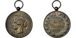 World Coins - France, Medal, French Third Republic, Business & industry, 1895, Oudiné