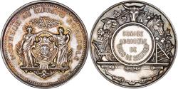 World Coins - France, Medal, Comice Agricole de Lons-le-Saunier, Silver, Bertrand,
