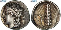 Ancient Coins - Lucania, Nomos, ca. 400-340 BC, Metapontum, Silver, NGC, , HGC:1-1050