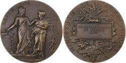 World Coins - France, Medal, Concours Régional Agricole, Nevers, 1902, Bronze, Dubois.A