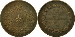 World Coins - France, Medal, Union des Amicales Catholiques de la Région Parisienne, 1911
