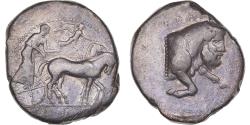 Ancient Coins - Sicily, Tetradrachm, ca. 450-440 BC, Gela, Silver, , HGC:2-343
