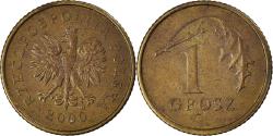 World Coins - Coin, Poland, Grosz, 2000