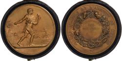 World Coins - France, Medal, Comice Agricole de l'Arrondissement de Nevers, 1884, Bronze