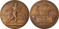 World Coins - France, Medal, Agriculture, Concours Général de Paris, Lagrange,