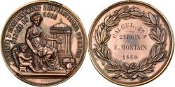 World Coins - France, Medal, Société d'Enseignement Professionnel du Rhône, 1880, Copper