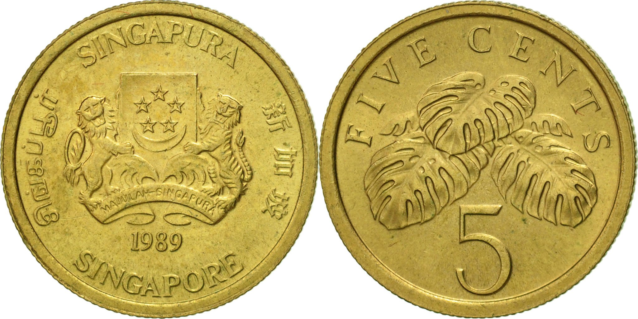 Singapore, 5 Cents, 1989, British Royal Mint, , Aluminum-Bronze, KM:50