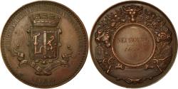 World Coins - France, Medal, Comice Agricole de Louviers, Neubourg, Eure, 1876, Desaide