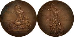 World Coins - France, Medal, L'union Patriotique du Rhône, History, 1898, Rivet,