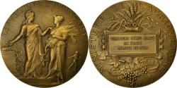 World Coins - France, Medal, Concours Général Agricole de Paris, Jury, Dubois.A,