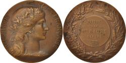 World Coins - France, Medal, Offert par Mr. Faure, Député, History, XIXth Century, Dupuis.D
