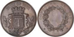 World Coins - France, Medal, Concours de Tir, Ville de Toul, Sports & leisure, 1880