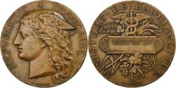 World Coins - France, Medal, Concours Agricole de Clermont-Ferrand, 1895, Bronze, Ponscarme