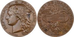 World Coins - France, Medal, Ministère de l'Agriculture, 1884, Bronze, Ponscarme,
